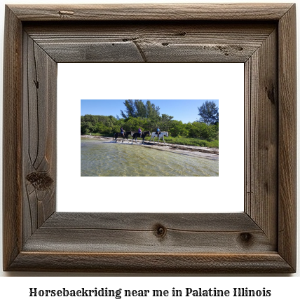 horseback riding near me in Palatine, Illinois